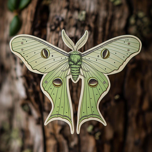 Luna Moth: Waterproof Vinyl Sticker