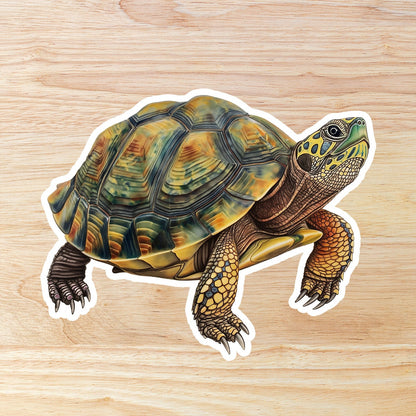 Box turtle Waterproof Vinyl Sticker