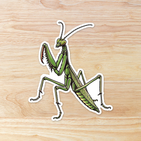 Preying Mantis Waterproof Vinyl Sticker