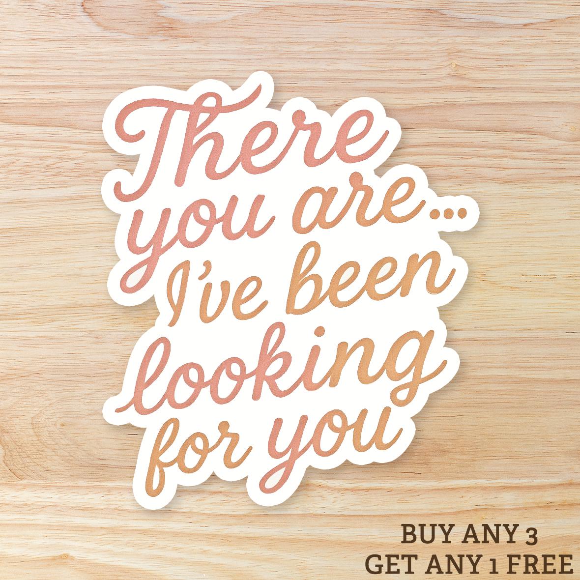 Waterproof Book Quote Vinyl Sticker - 'There You Are, I've Been Looking for You'