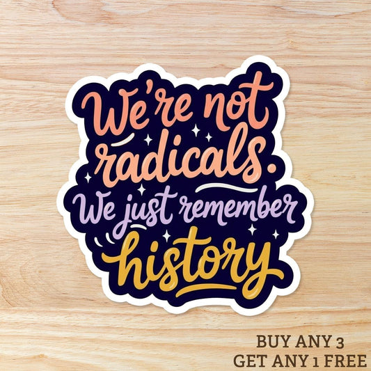 We're Not Radicals We Just Remember History: Waterproof Vinyl Sticker