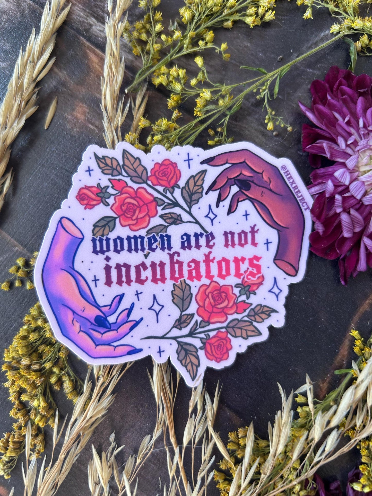 Women Are Not Incubators Sticker: Women's Rights Waterproof Vinyl Sticker