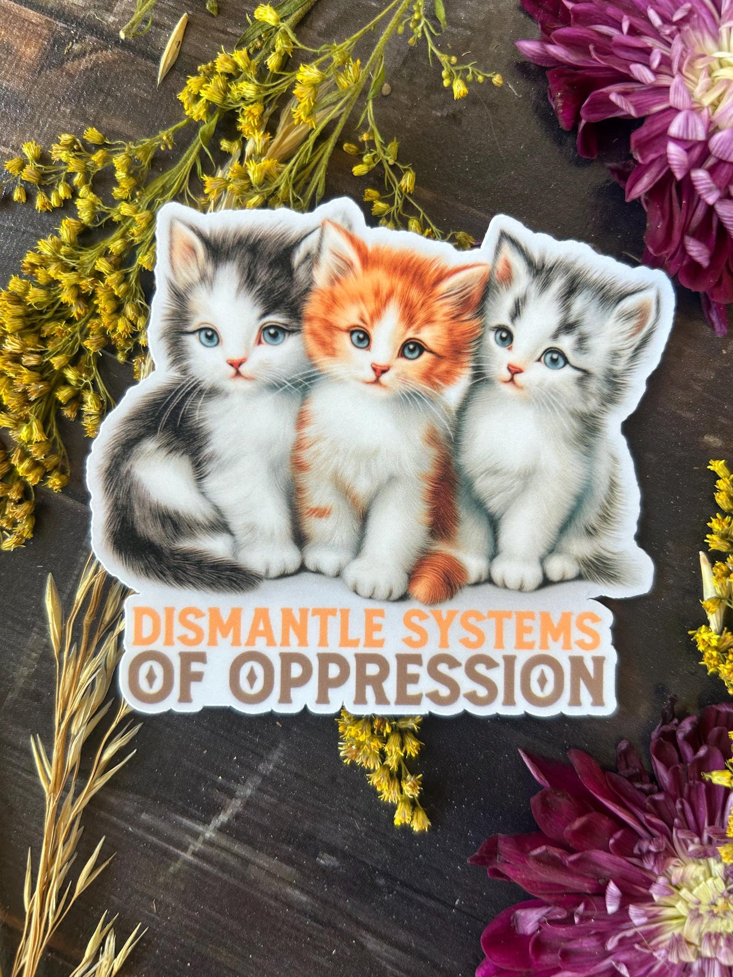 Dismantle Systems of Oppression Sticker Kittens : Social Justice Activist, Laptop Decal