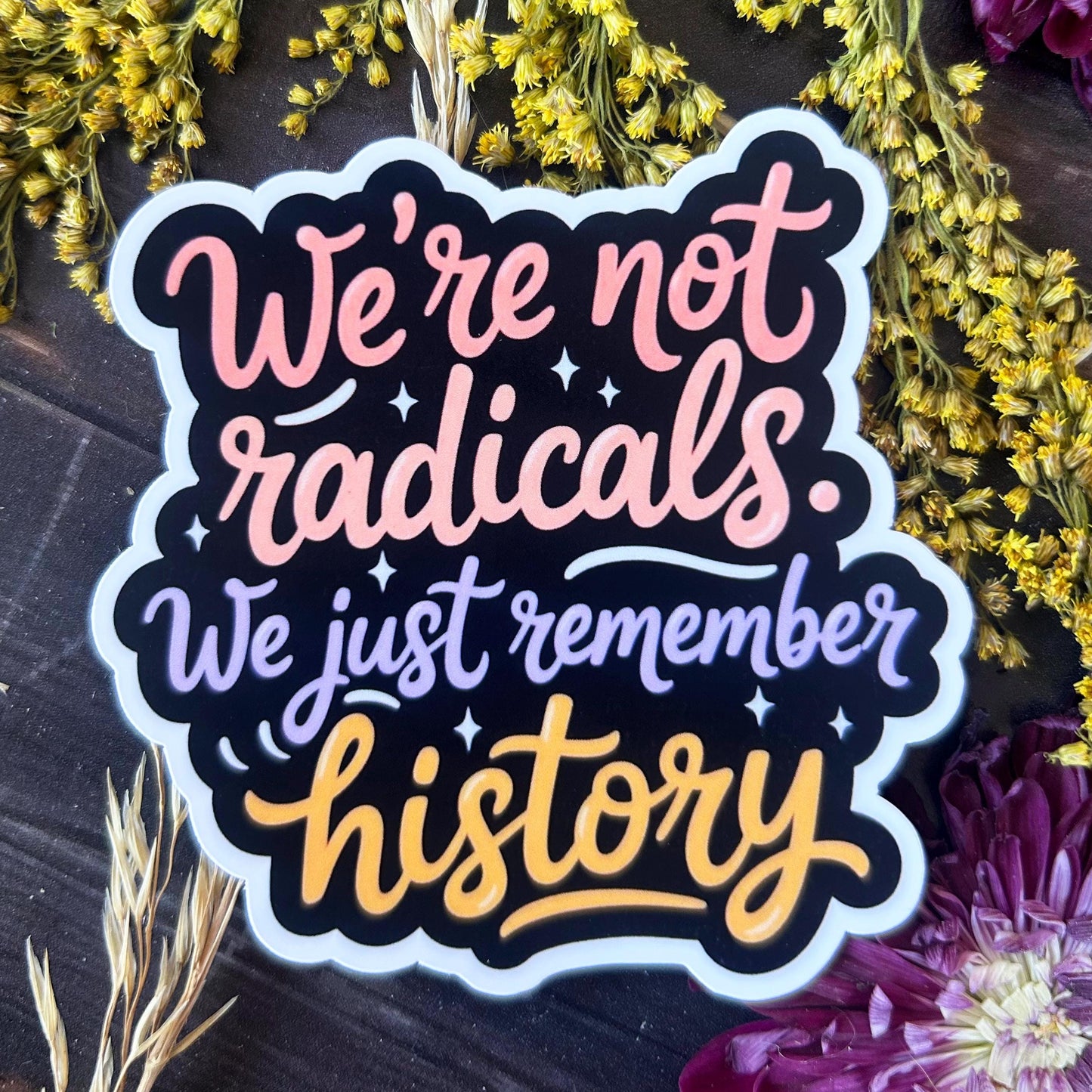 We're Not Radicals We Just Remember History: Waterproof Vinyl Sticker