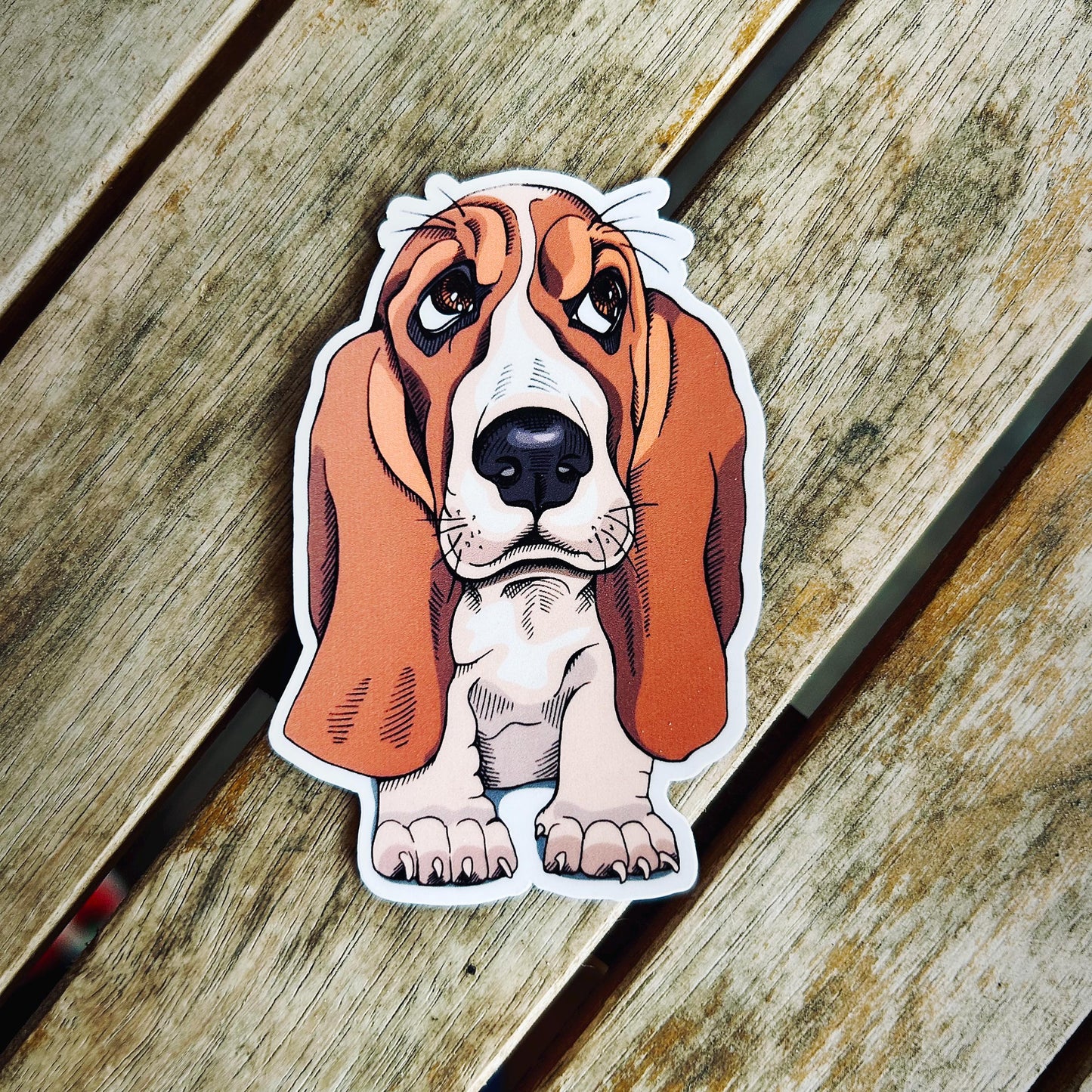 Basset Hounds: Vinyl WATERPROOF Sticker
