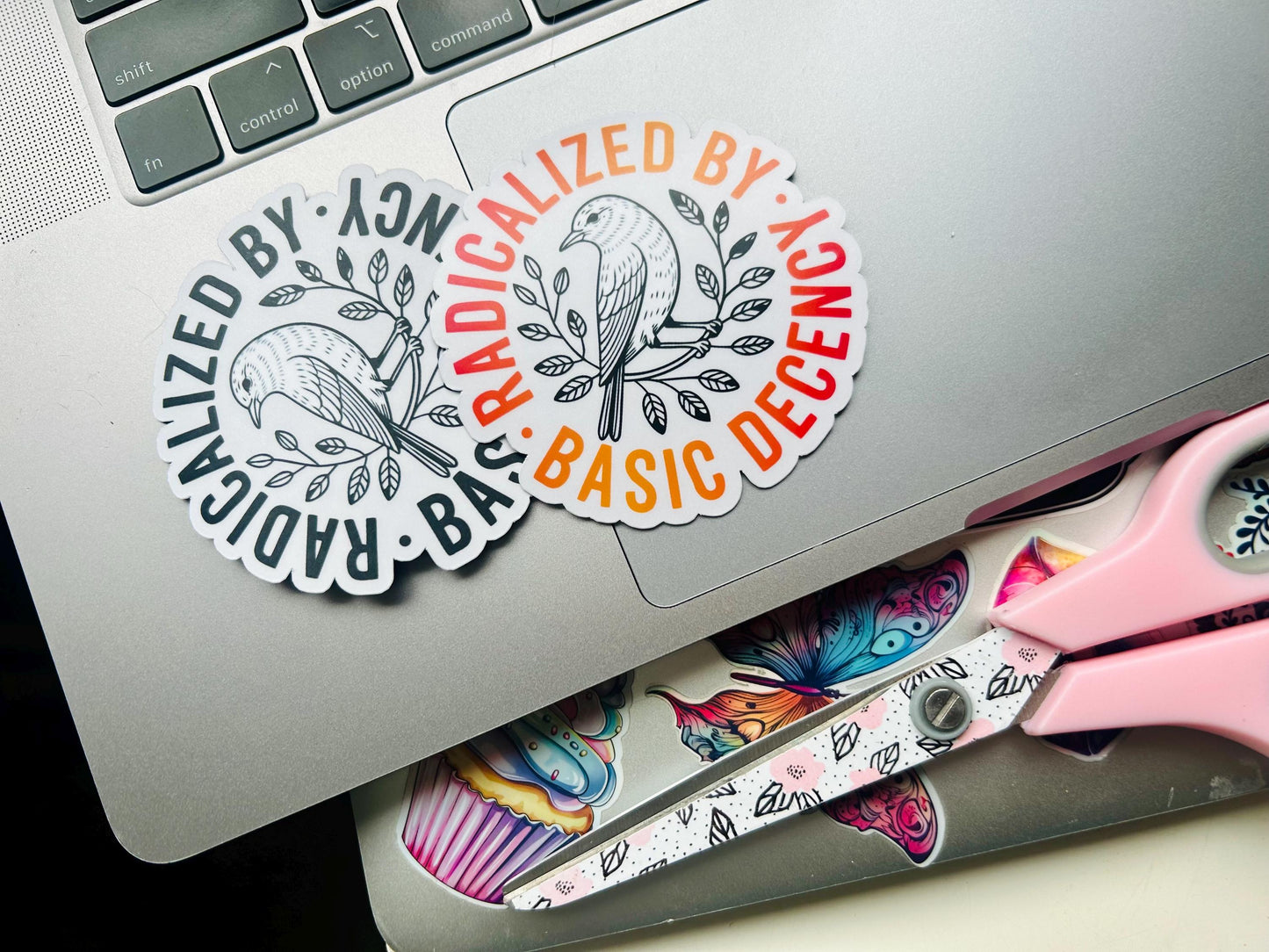 Radicalized by Basic Decency: Vinyl WATERPROOF Sticker