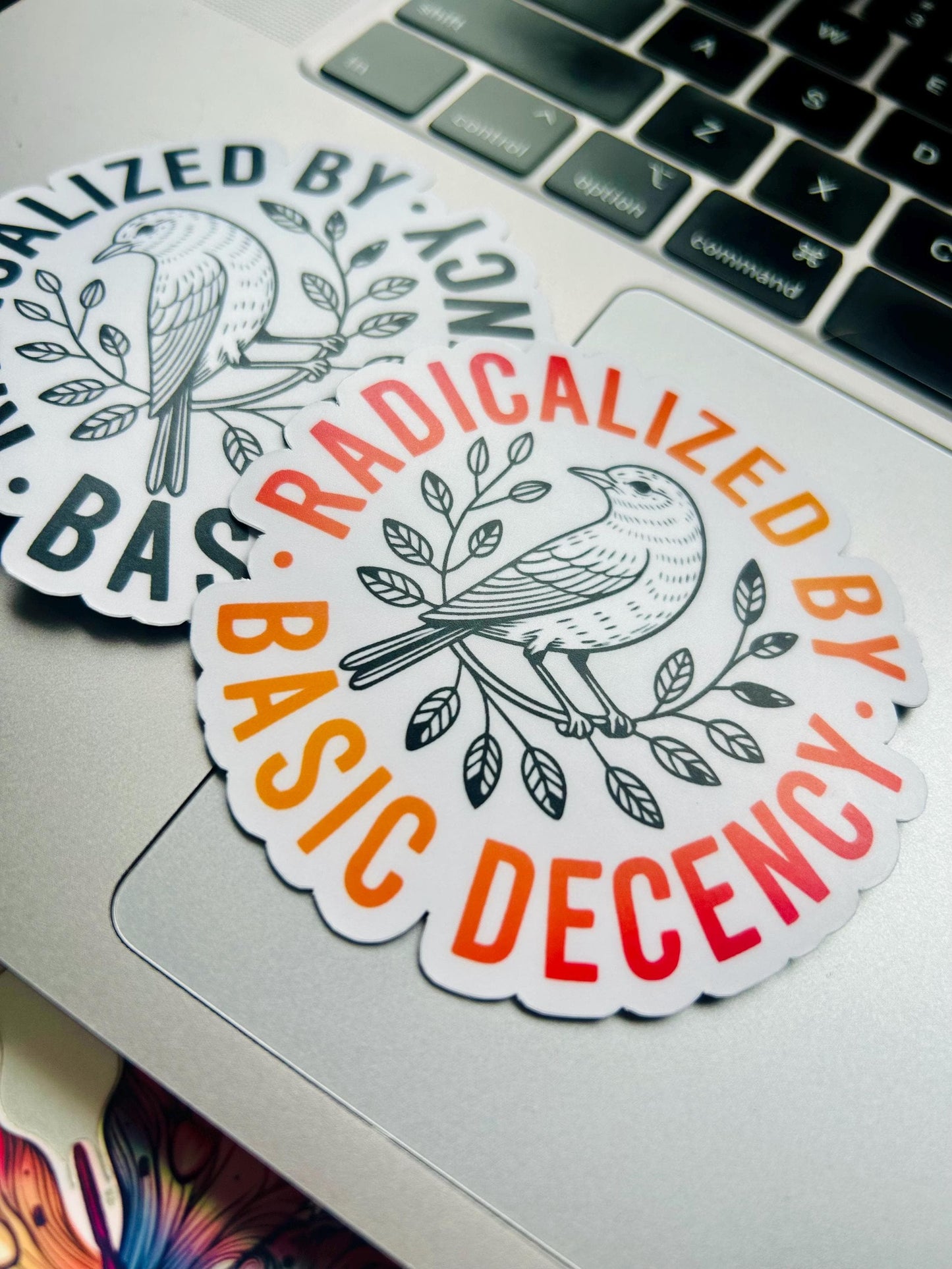 Radicalized by Basic Decency: Vinyl WATERPROOF Sticker